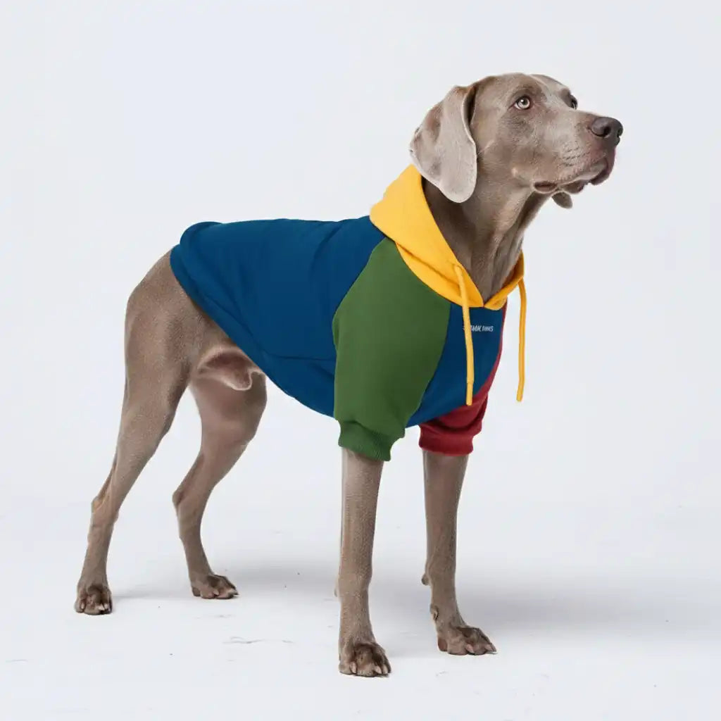 Primary Color Block Dog Hoodie