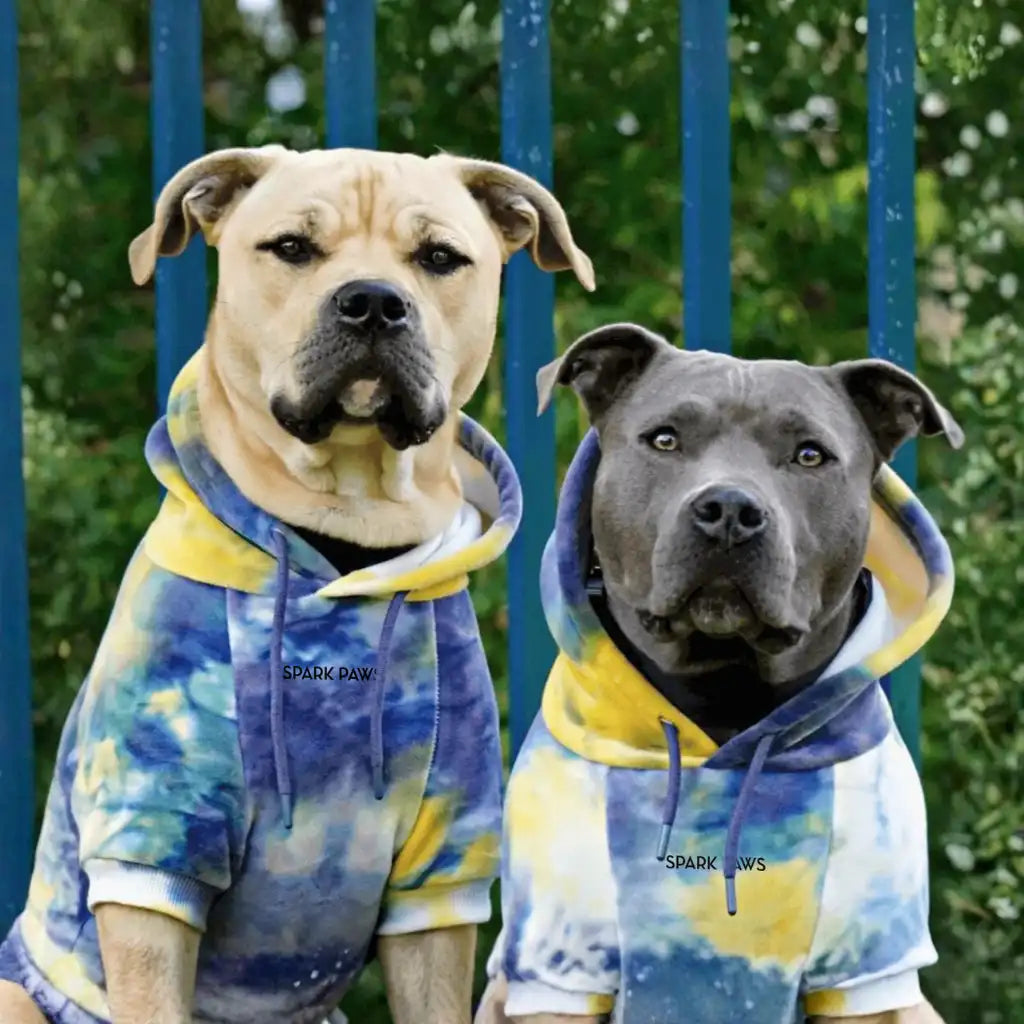 Velvet Dog Hoodie - Nova