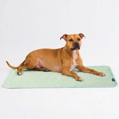 Frostcore™ Cooling Mat - Orb Green