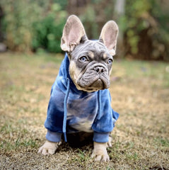 Velvet Human Hoodie - Sapphire Blue