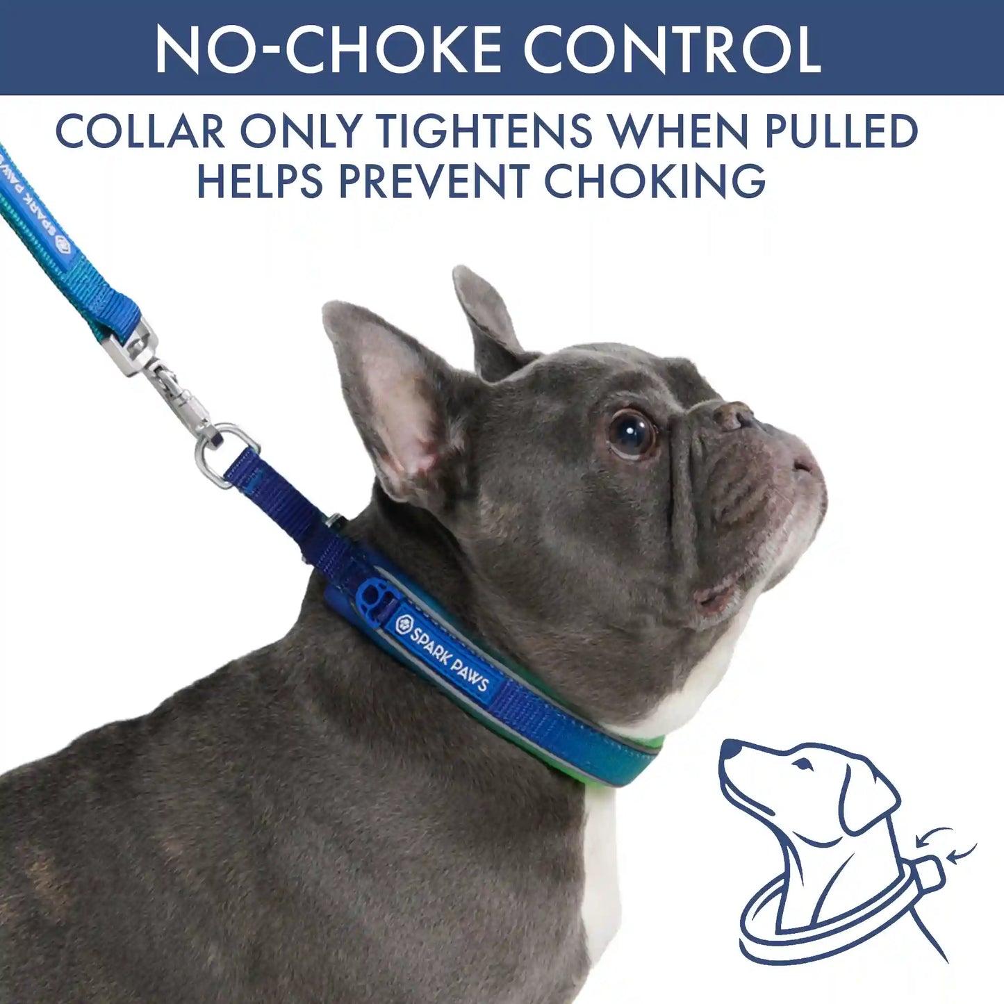 Martingale Collar and Multipurpose Leash Set - Lime Wave