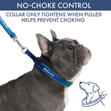 Martingale Collar and Multipurpose Leash Set - Lime Wave