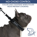 Martingale Collar Sets