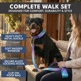Comfort Control Collar Set - 90s Retro