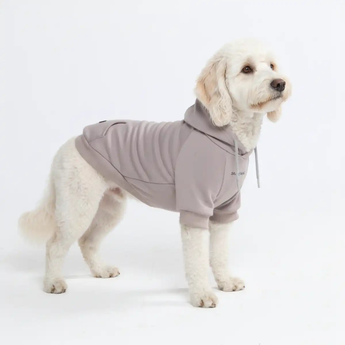 Essential Dog Hoodie - Clay