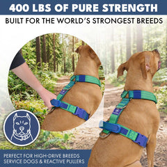 Comfort Control No-Pull Dog Harness Set - Lime Wave