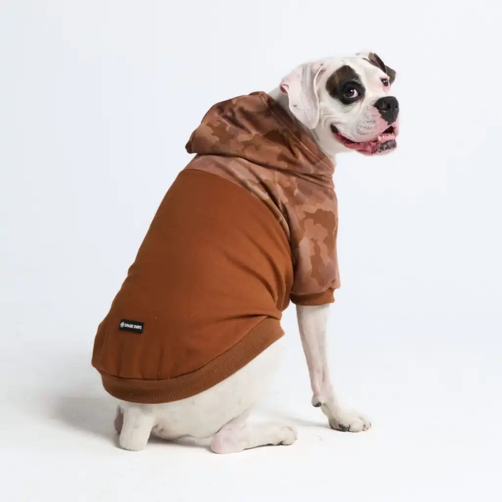 Desert Camo Dog Hoodie