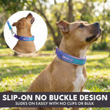 Martingale Collar and Multipurpose Leash Sets