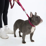 Cushioned Martingale Collar - Fuchsia Camo