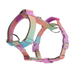 Comfort Control No-Pull Dog Harness - Pastel Icing