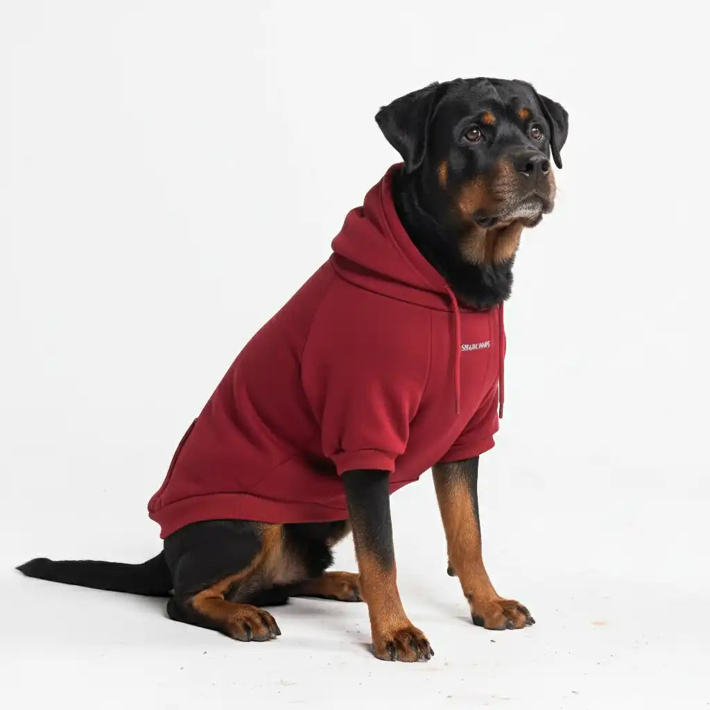 Essential Dog Hoodie - Burgundy