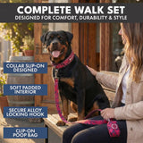 Martingale Collar Sets