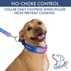 Martingale Collar and Multipurpose Leash Set - Snow Cone