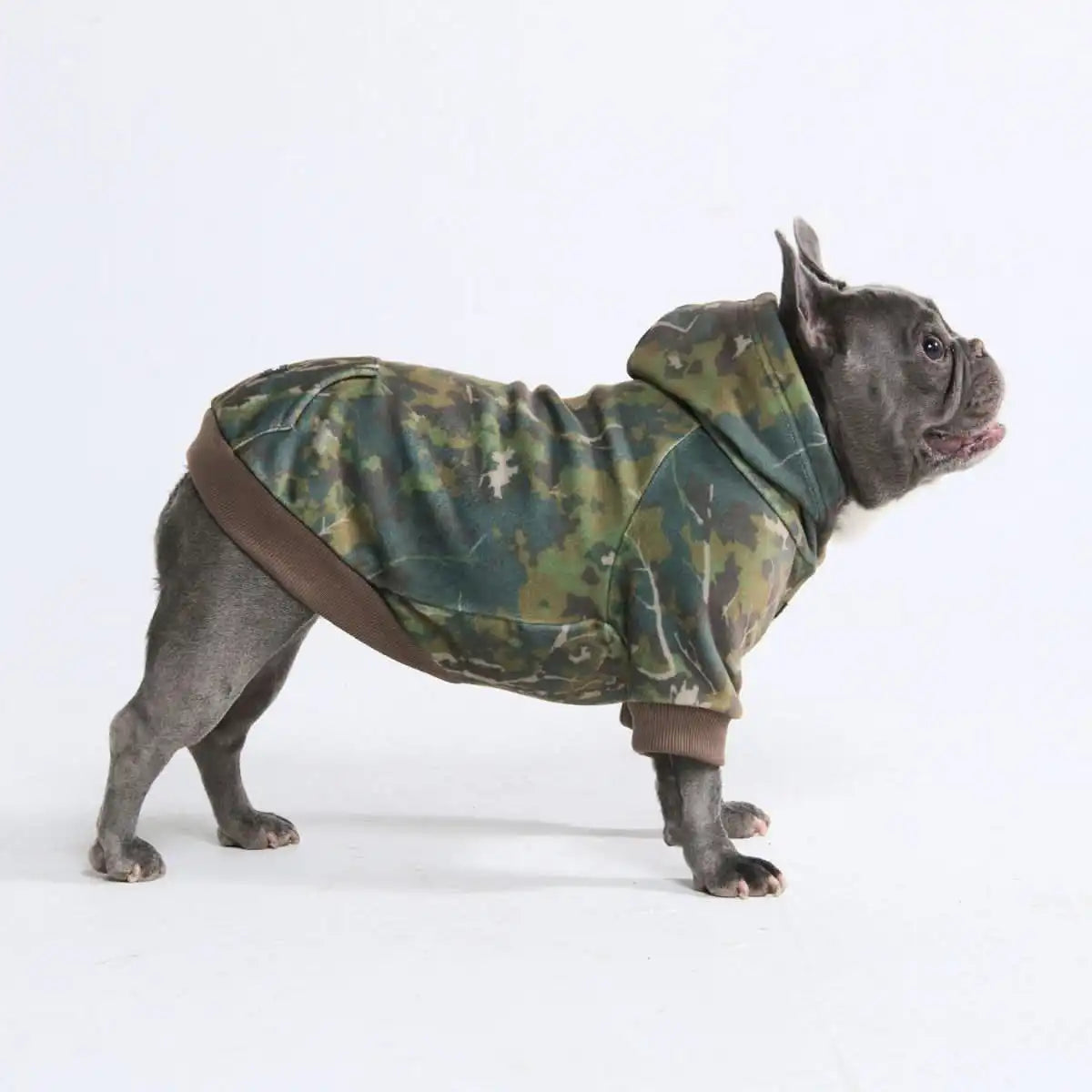 Camo Dog Hoodies