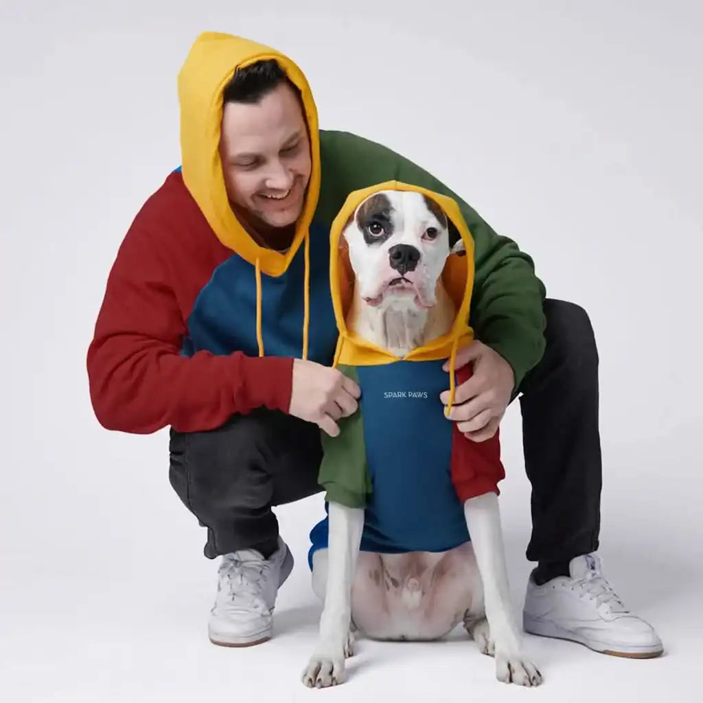 Primary Color Block Dog Hoodie