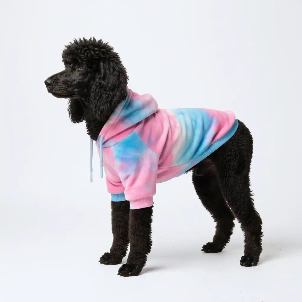 Velvet Dog Hoodie - Snow Cone