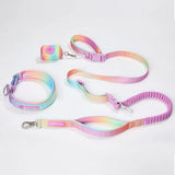 Martingale Collar and Multipurpose Leash Sets