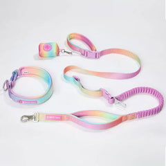 Martingale Collar and Multipurpose Leash Set - Pastel Icing