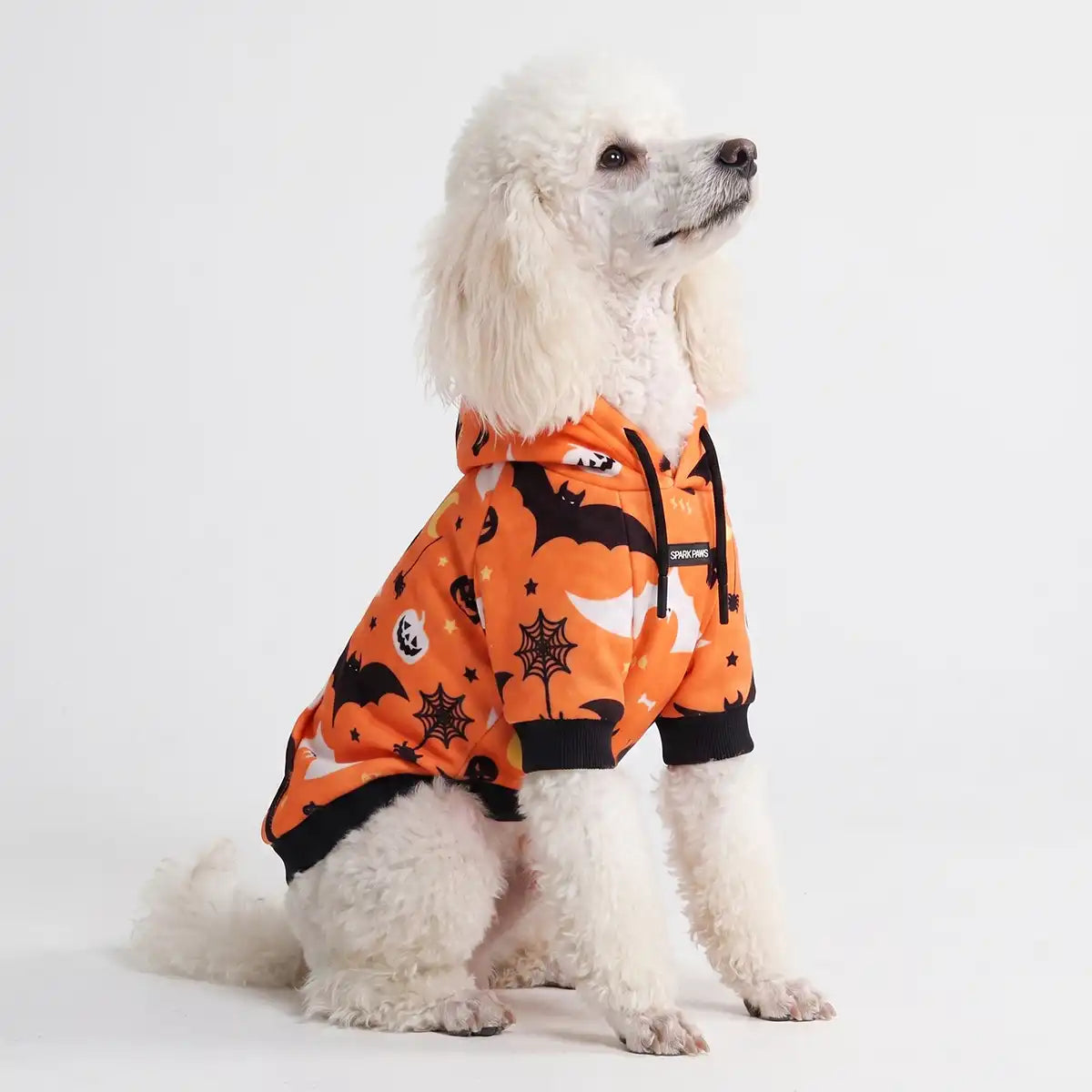 Halloween Dog Hoodie - Orange