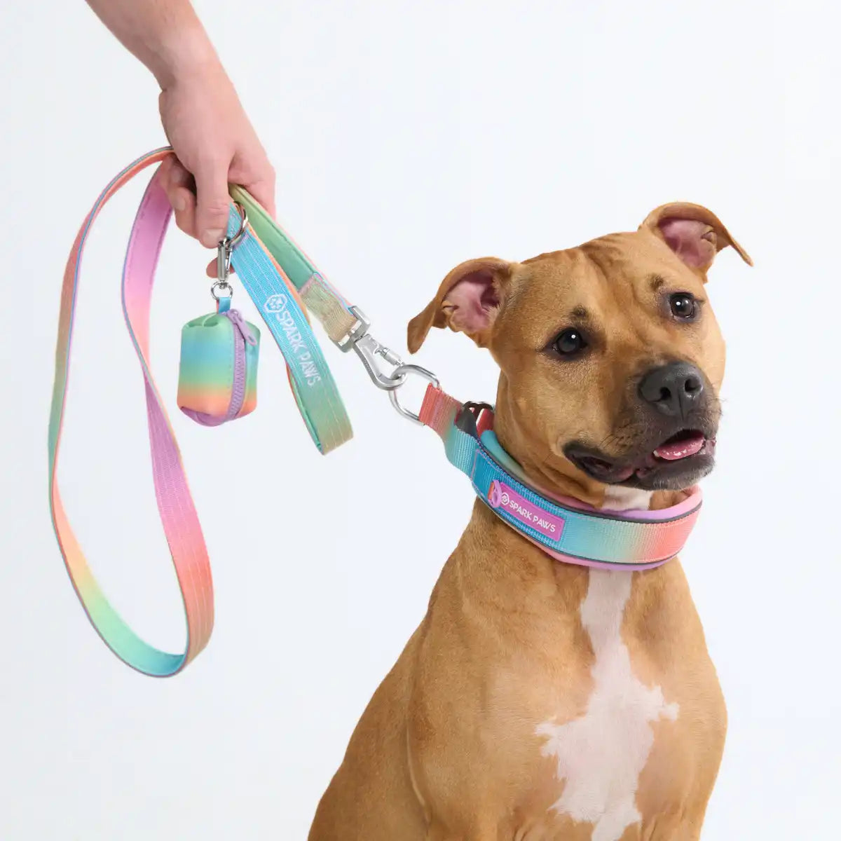 Cushioned Martingale Collar - Pastel Icing