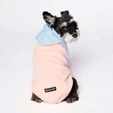 Cotton Candy Dog Hoodie