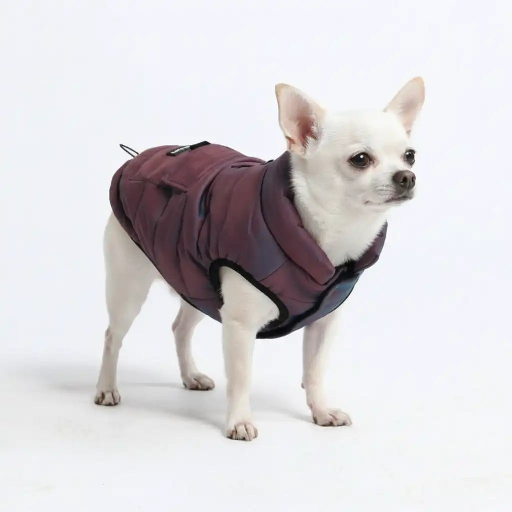 WarmShield Water-Resistant Jacket - Cosmic