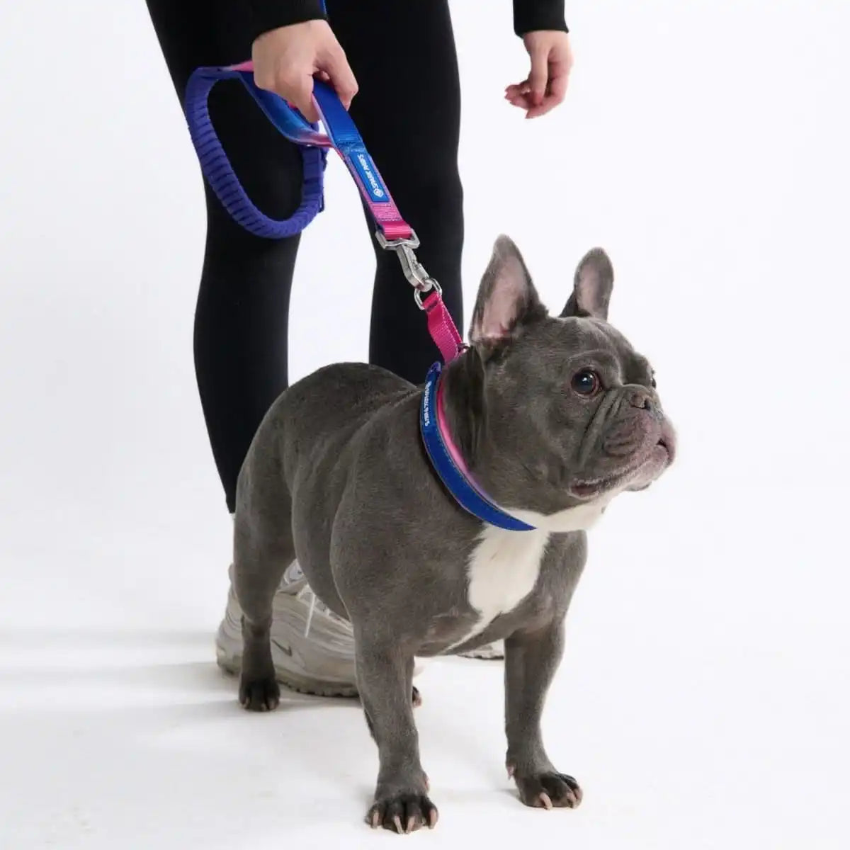 Cushioned Martingale Collar - Snow Cone