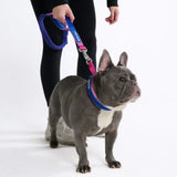 Cushioned Martingale Collar - Snow Cone