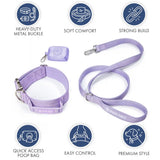 Comfort Control Dog Collar Sets