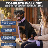 Martingale Collar Sets