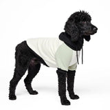 Olive Cream Dog Hoodie