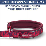 Martingale Collar Sets