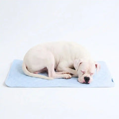 Frostcore™ Cooling Mat - Hearts Blue (2)