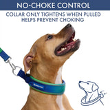 Martingale Collar Sets