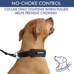 Martingale Collar and Multipurpose Leash Set - Black
