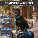 Comfort Control Collar and Multipurpose Leash Set - Lime Wave