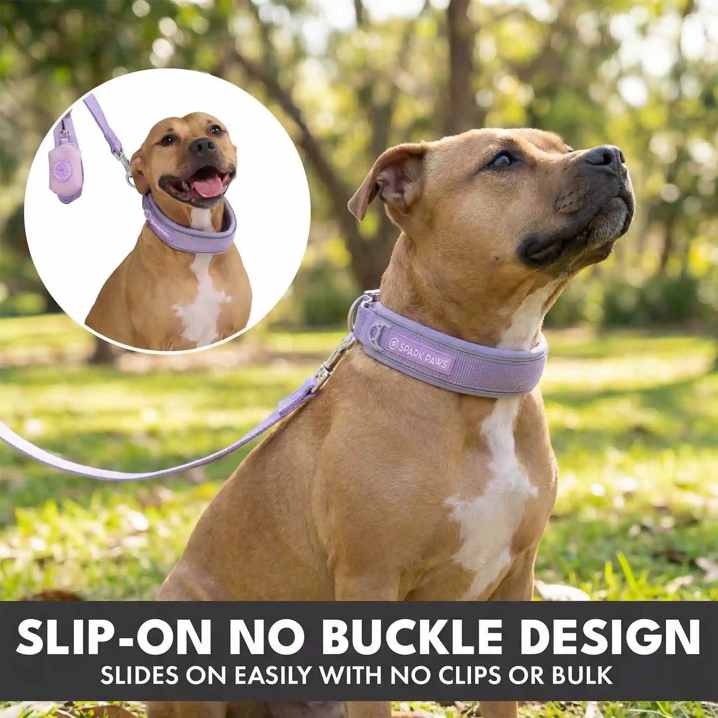 Martingale Collar Sets