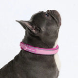 Cushioned Martingale Collar - Pink