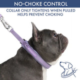 Martingale Collar and Multipurpose Leash Sets
