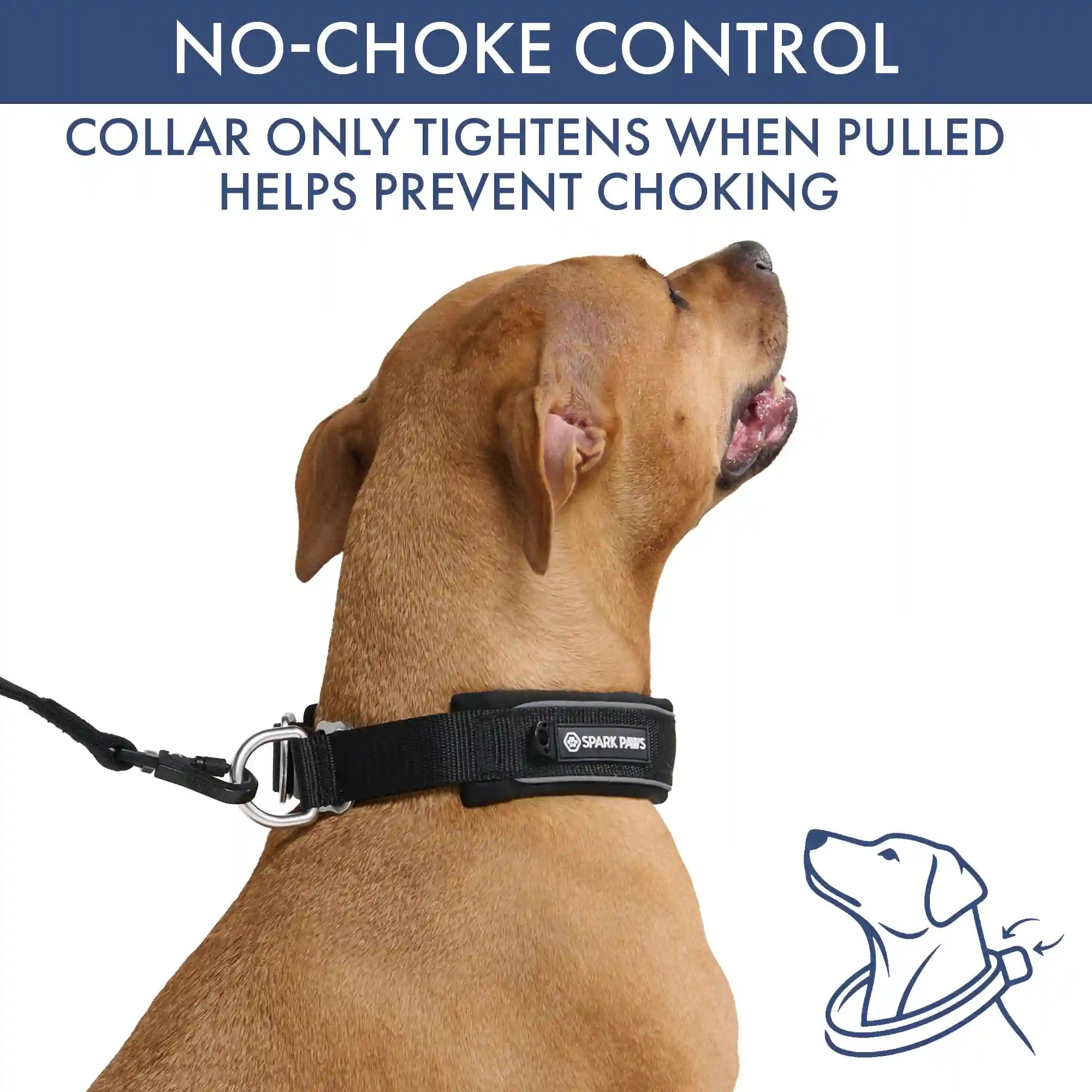 Martingale Collar Sets