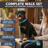 Comfort Control Collar Set - Lime Wave