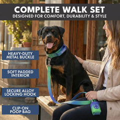 Comfort Control Collar Set - Lime Wave