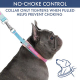 Martingale Collar and Multipurpose Leash Sets
