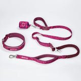 Martingale Collar and Multipurpose Leash Sets