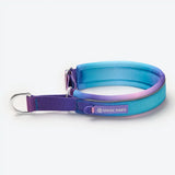 Cushioned Martingale Collar - 90s Retro