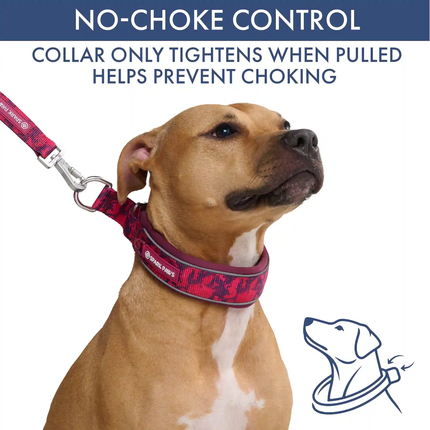 Martingale Collar and Multipurpose Leash Sets