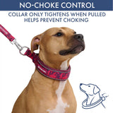 Martingale Collar and Multipurpose Leash Sets