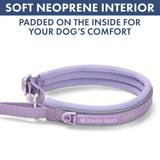 Martingale Collar and Multipurpose Leash Sets