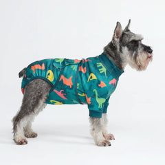 Dog Surgical Suit - Dinosaurs