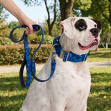 Comfort Control Collar Set - Blue Camo